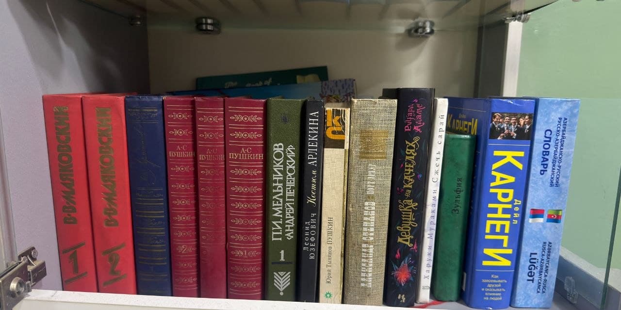 Полка с художественной литературой, включая классические тома, словарь и книги по саморазвитию.