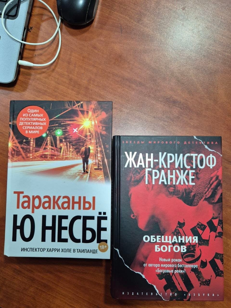 Жан Кристоф Гранже- Обещания богов