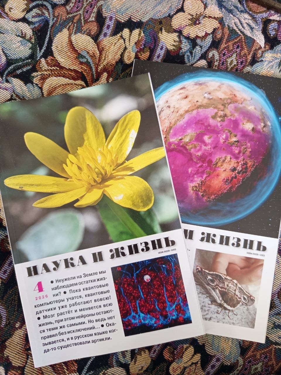 Журнал Наука и жизнь, начиная с 2004, не дорого, фото 1