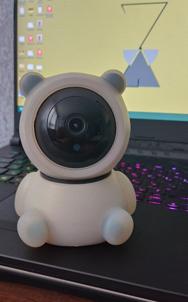 Smart IP Camera