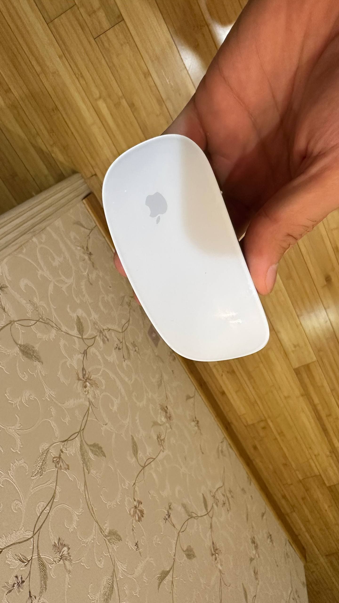 Apple Magic Mouse
